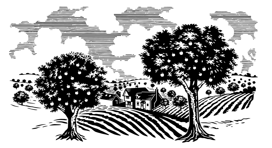 Oldfields Cider